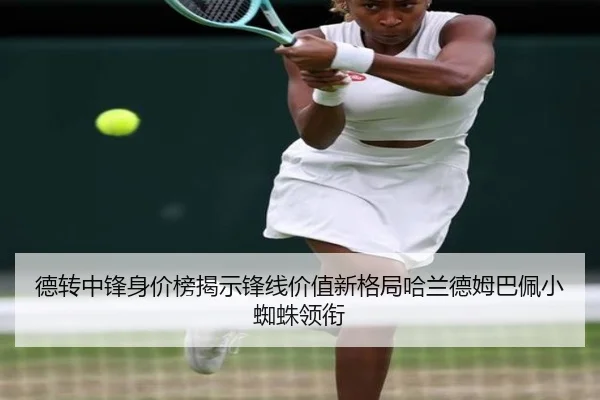 德转中锋身价榜揭示锋线价值新格局哈兰德姆巴佩小蜘蛛领衔 - LDSPORTS